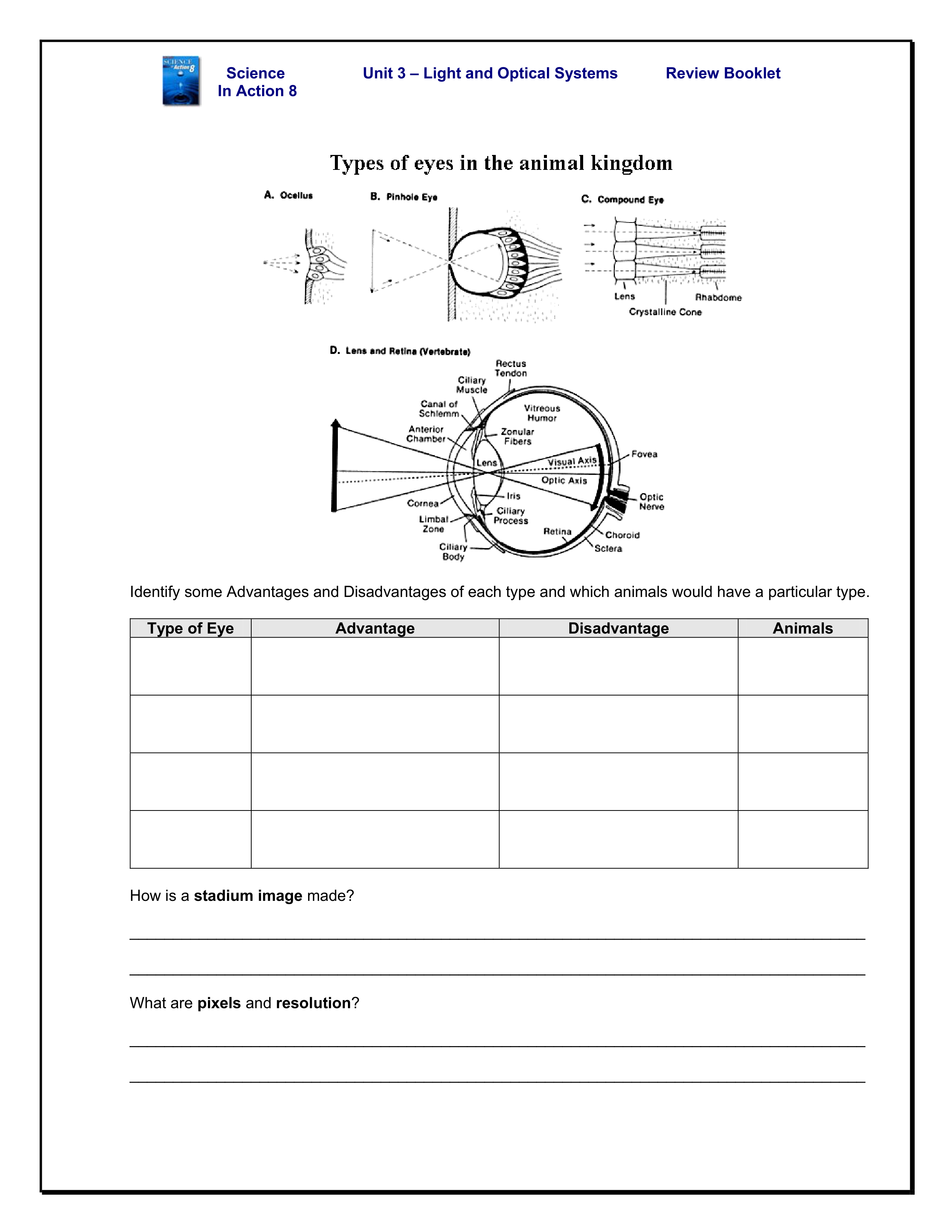 Science 82 Light and Optics Review Don Moon Library Formative
