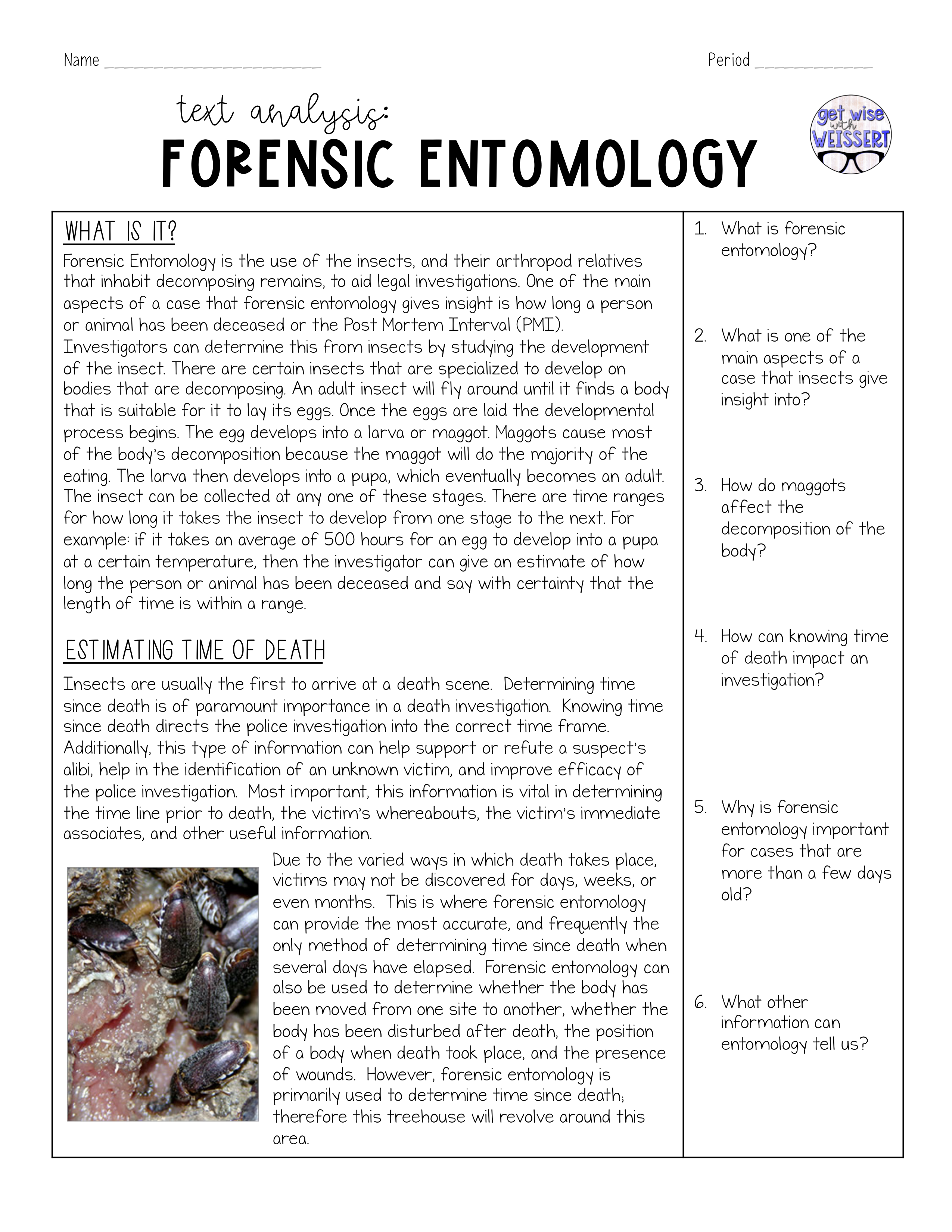 Forensic Entomology - Heidi Cooley | Library | Formative forensic-entomology-heidi-cooley-library-formative
