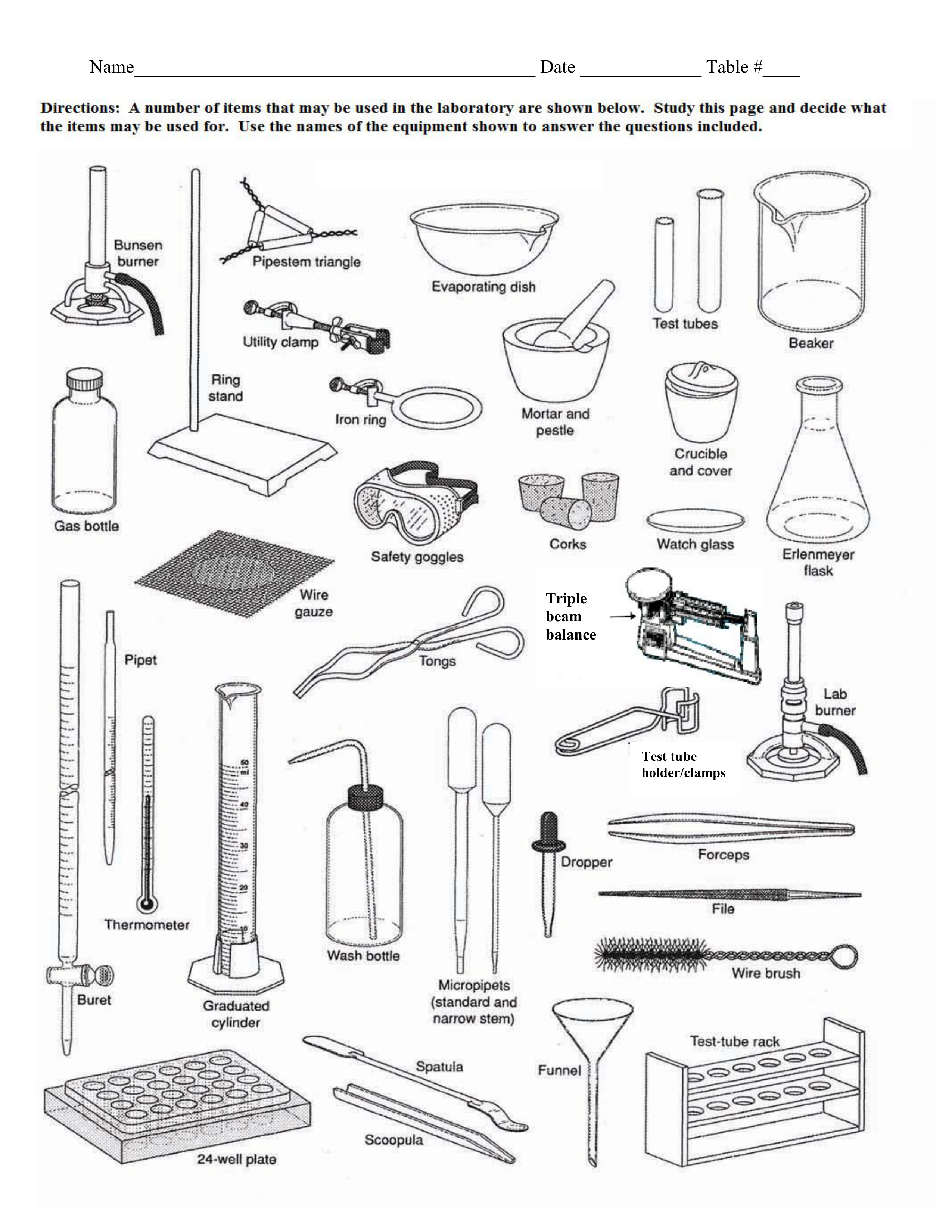 Lab Equipment word scramble - Stephanie Zeigler | Library | Formative