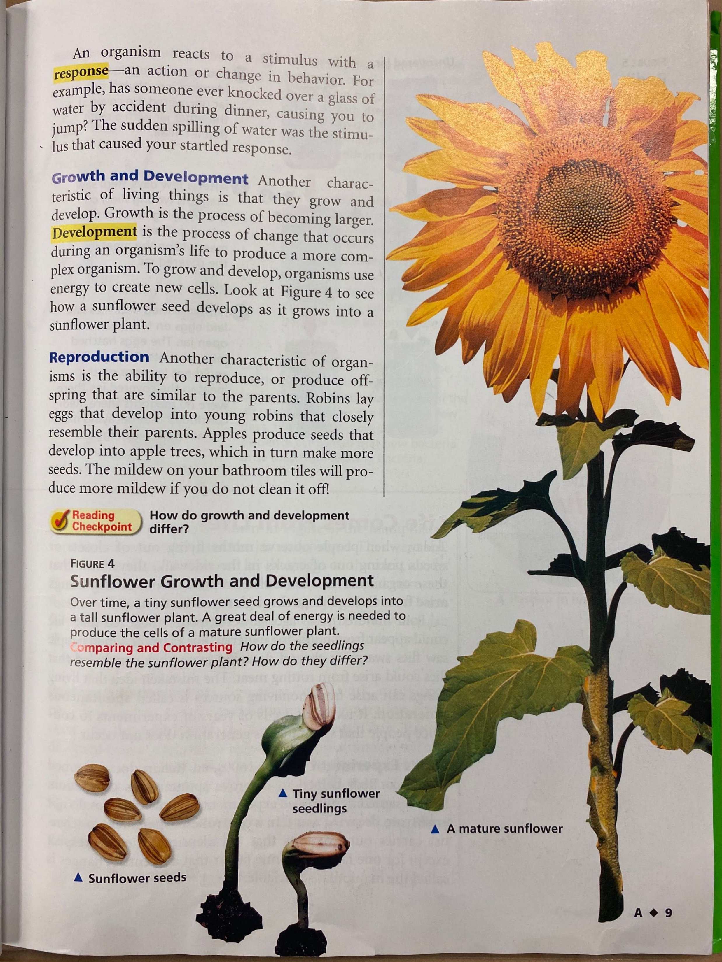 Characteristics of Living Things Heather Smith Library Formative