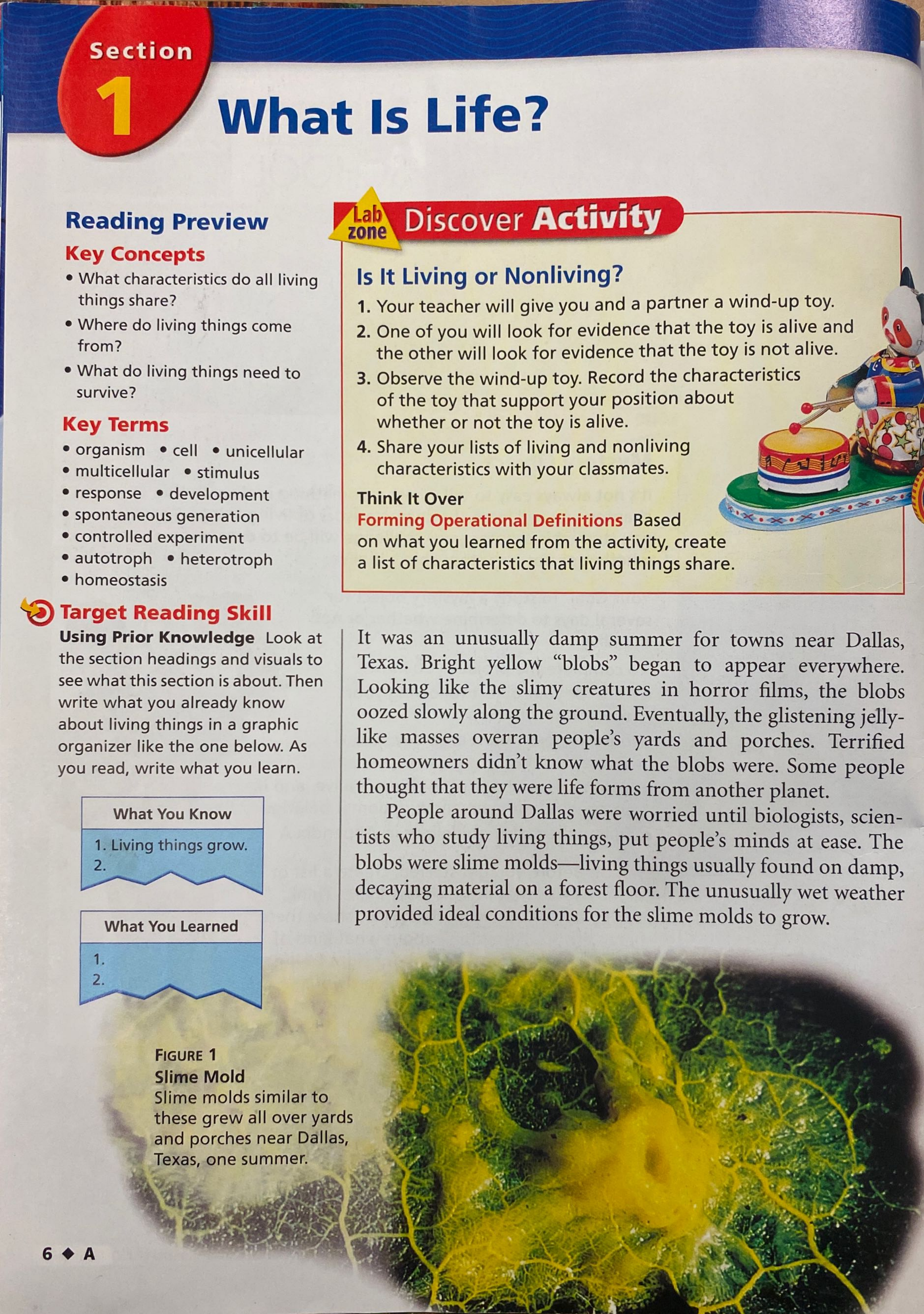 Characteristics of Living Things Heather Smith Library Formative