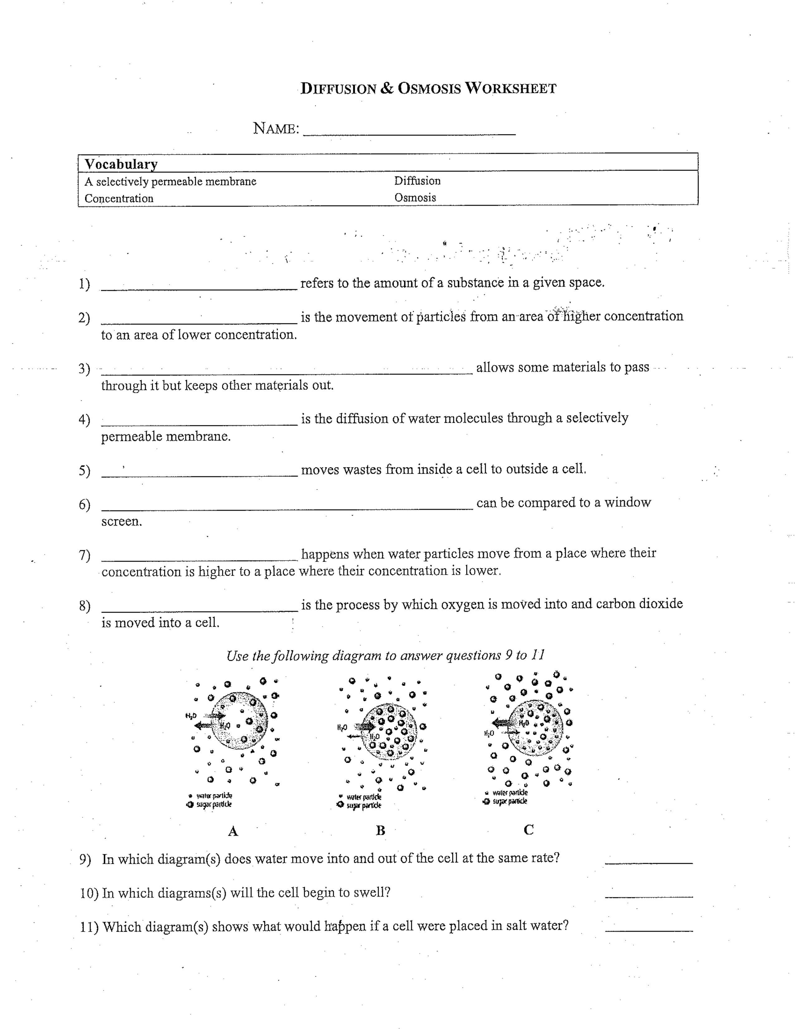 Diffusion & Osmosis Worksheet - Heather Sanborn | Library | Formative