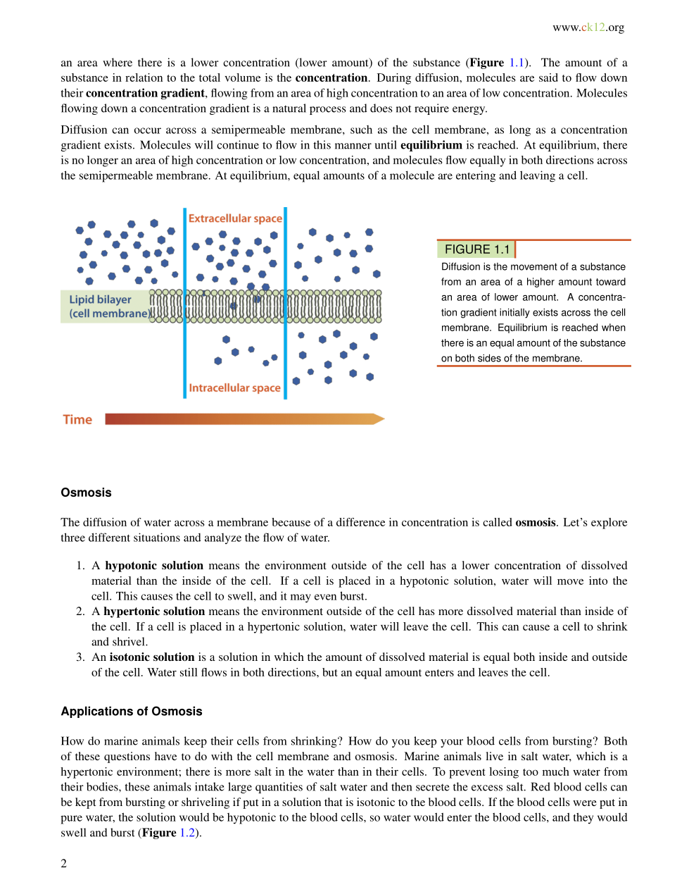 Diffusion and osmosis lab experiment image