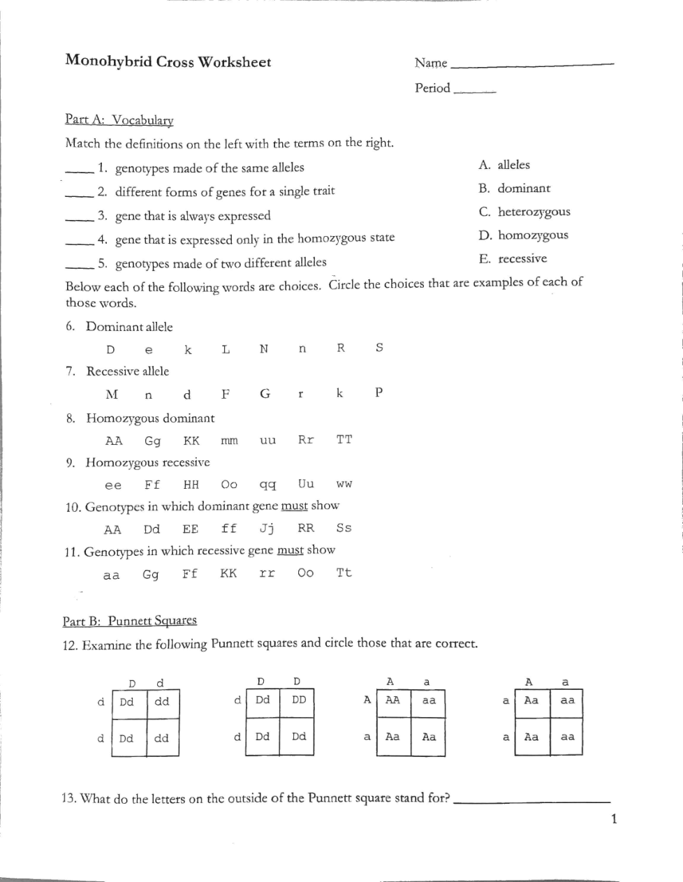 Monohybrid Cross Worksheet - Heather E. Fussell | Library | Formative