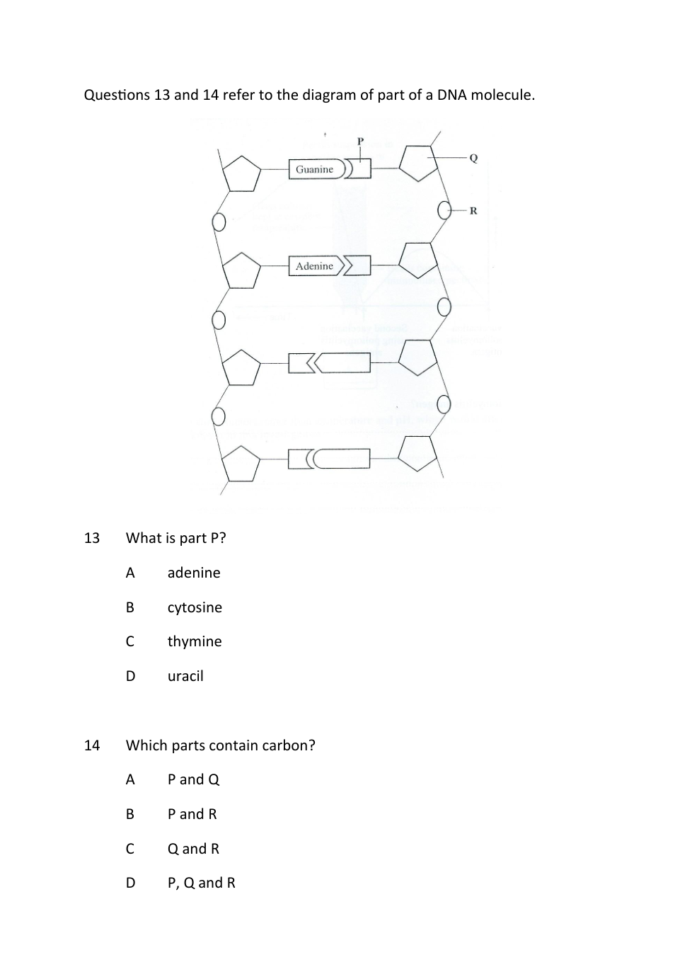 Nucleic acids multiple choice 1 Sophie Pratt Library Formative