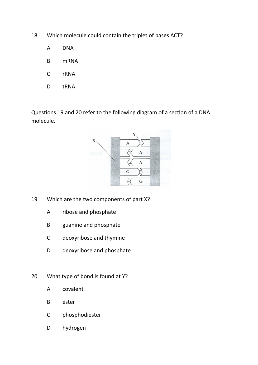 Nucleic acids multiple choice 1 Sophie Pratt Library Formative